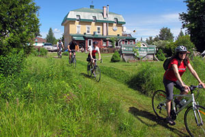 Vélos à portée